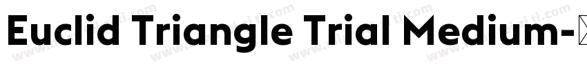 Euclid Triangle Trial Medium字体转换
